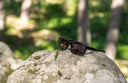 Protect Your Eyes: Top Eyewear for Outdoor Activities
