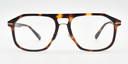 Front view rounded rectangular brown tortoiseshell frame glasses with gold coloured detail close to the hinges