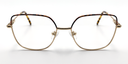 front view delicate metal frame. Tortoiseshell colour top of frame and gold colour rest of frame.