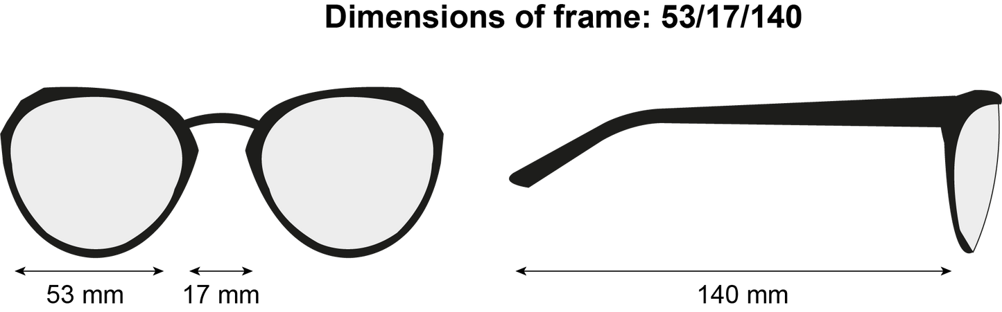 illustration drawing showing the size of the frame: lens 53mm, bridge 17mm, length of arm 140
