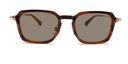 Rectangular tortoiseshell frame glasses. front view. Gold coloured hinge highlights showing tinted lenses