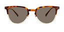 Front view rounded brown tortoiseshell to clear frame glasses with tinted lenses