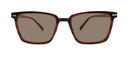 Rectangular brown tortoiseshell frame glasses with small gold detail close to the hinges showing with tinted lenses