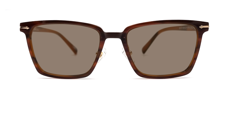 Rectangular brown tortoiseshell frame glasses with small gold detail close to the hinges showing with tinted lenses