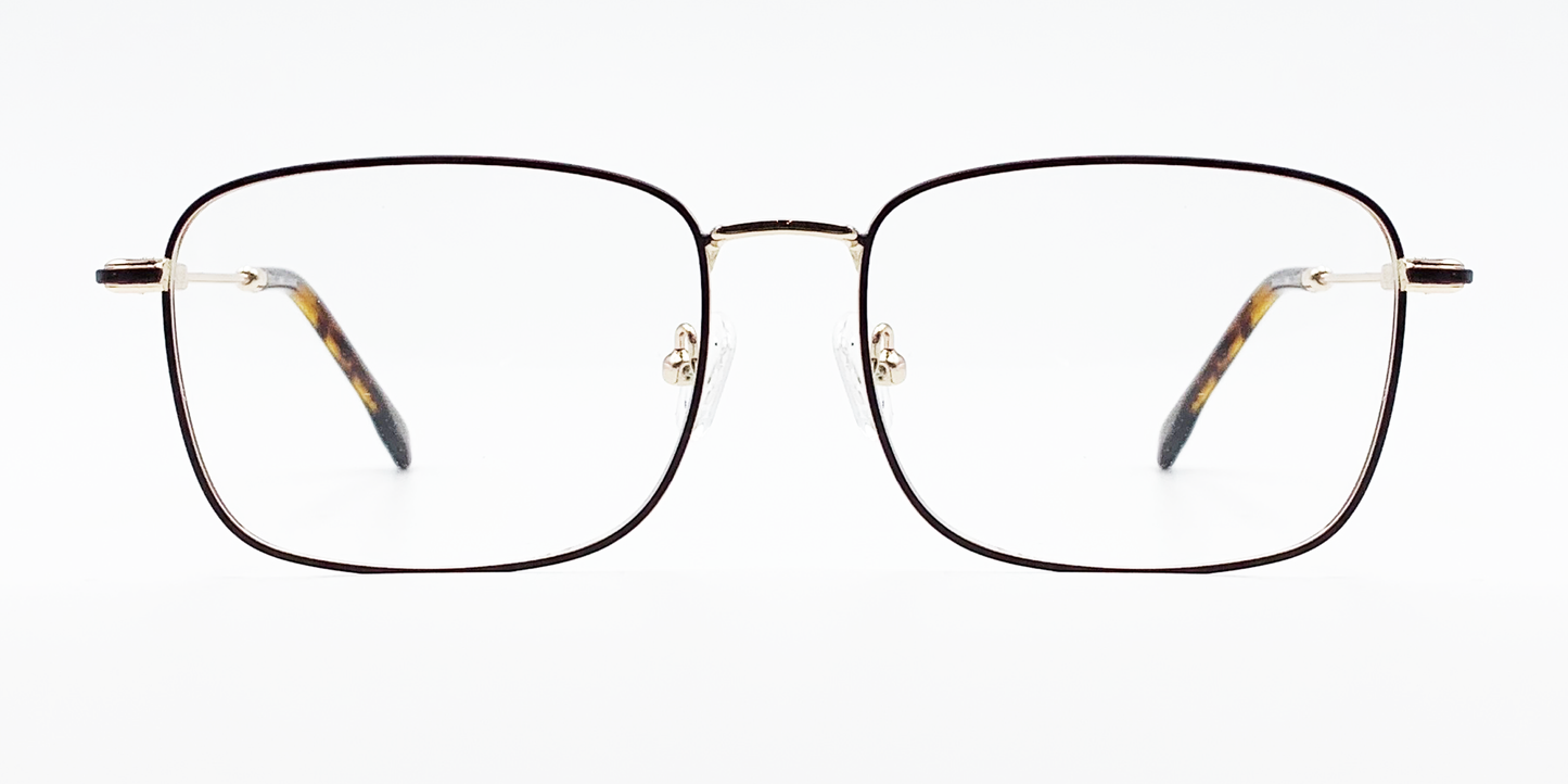 Front view rectangular brown frame glasses with gold colour detail