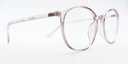Side view of clear round retro-style glasses. frame and arms same colour.